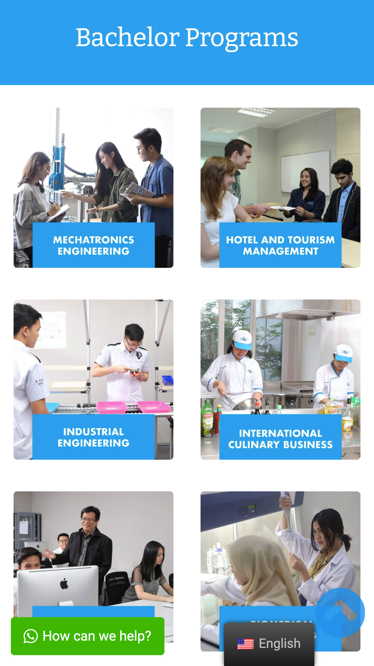 Study Programs Page Mobile Preview